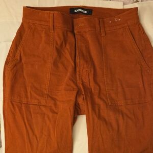 Express Men's Rust Cargo Pants